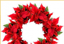 Trạng nguyên Vũ Giới – quê hương và gia đình Tiến sĩ – Thượng thư