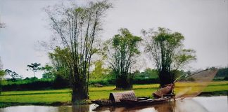 Náo nức gọi hồn quê .