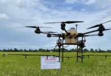 PHAN GIA – HÀNH TRÌNH XÂY DỰNG UY TÍN VÀ KHẲNG ĐỊNH GIÁ TRỊ TRONG LĨNH VỰC LÚA GẠO