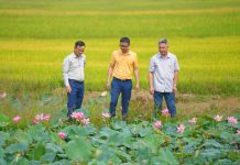 Chủ tịch Phan Gia Vũ Đình Mười: Xây dựng chuỗi liên kết lúa gạo bền vững tại Tây Nguyên