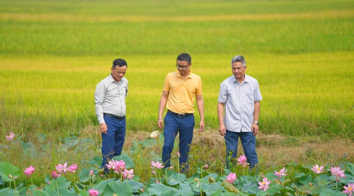 Chủ tịch Phan Gia Vũ Đình Mười: Xây dựng chuỗi liên kết lúa gạo bền vững tại Tây Nguyên